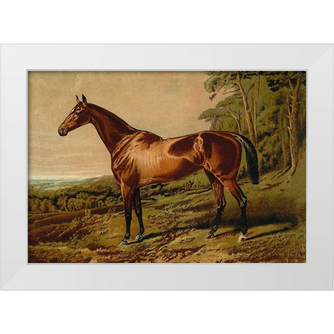 Fair Nell, 1900 White Modern Wood Framed Art Print by Sidney, Samuel