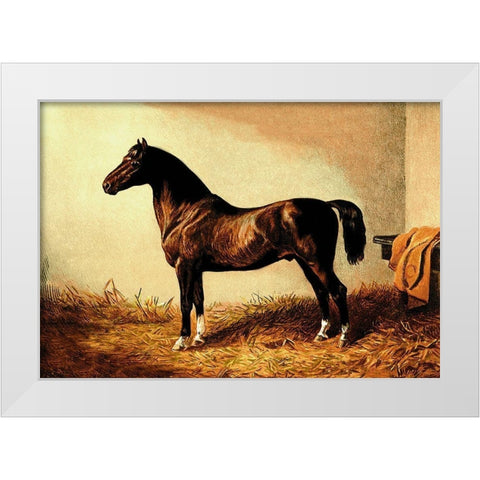 Don Carlos, 1900 White Modern Wood Framed Art Print by Sidney, Samuel