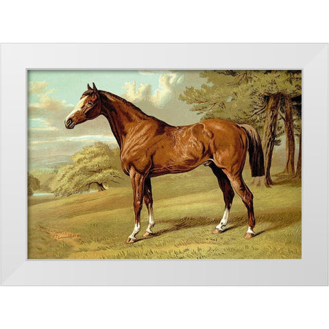 Stilton - A Hunter, 1900 White Modern Wood Framed Art Print by Sidney, Samuel