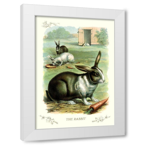 The Rabbit, 1900 White Modern Wood Framed Art Print by Unknown