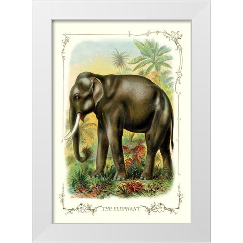 The Elephant, 1900 White Modern Wood Framed Art Print by Unknown