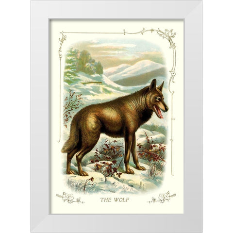 The Wolf, 1900 White Modern Wood Framed Art Print by Unknown