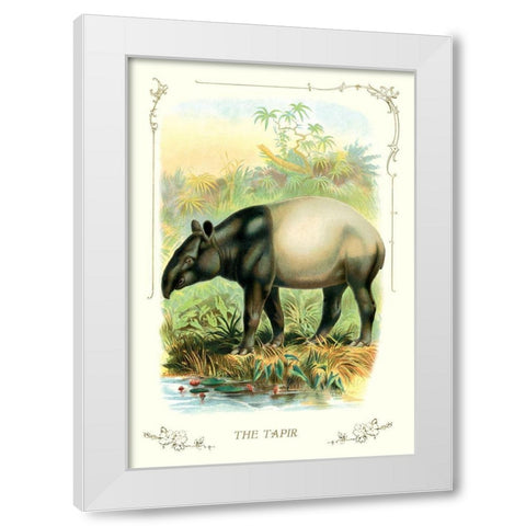 The Tapir, 1900 White Modern Wood Framed Art Print by Unknown