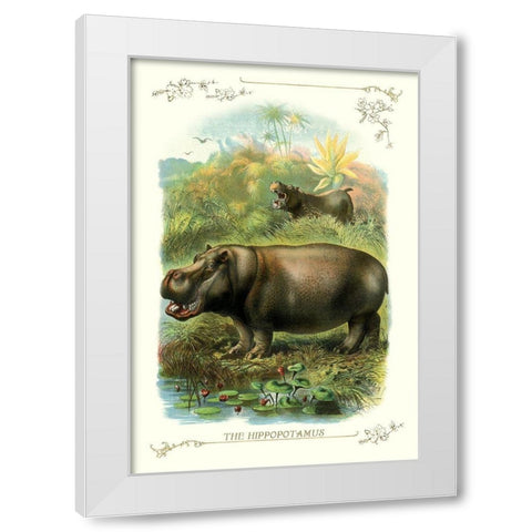 The Hippopotamus, 1900 White Modern Wood Framed Art Print by Unknown