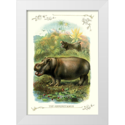 The Hippopotamus, 1900 White Modern Wood Framed Art Print by Unknown