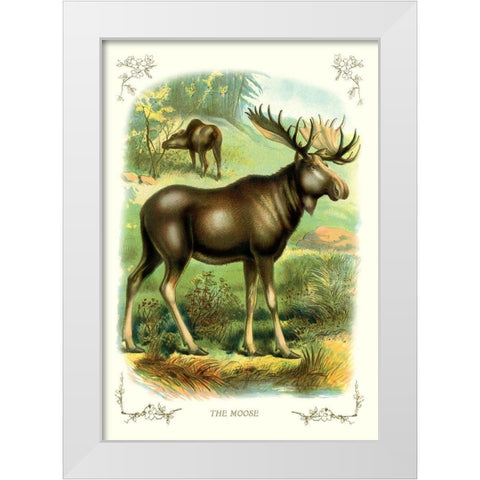 The Moose, 1900 White Modern Wood Framed Art Print by Unknown
