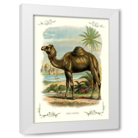 The Camel, 1900 White Modern Wood Framed Art Print by Unknown
