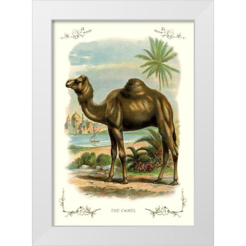 The Camel, 1900 White Modern Wood Framed Art Print by Unknown