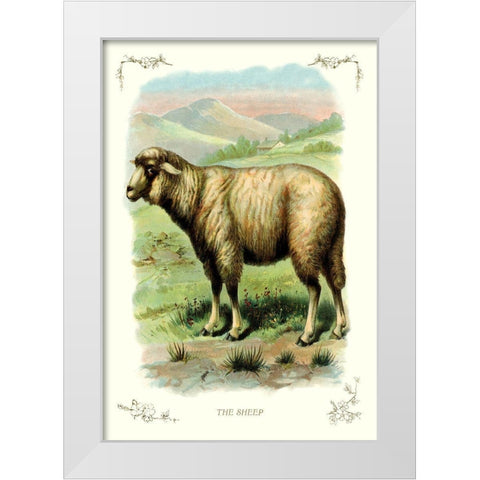 The Sheep, 1900 White Modern Wood Framed Art Print by Unknown