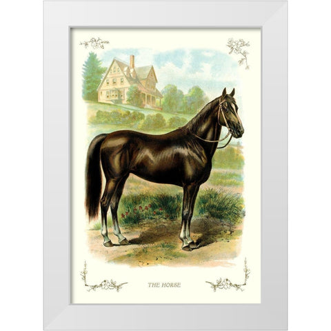 The Horse, 1900 White Modern Wood Framed Art Print by Unknown