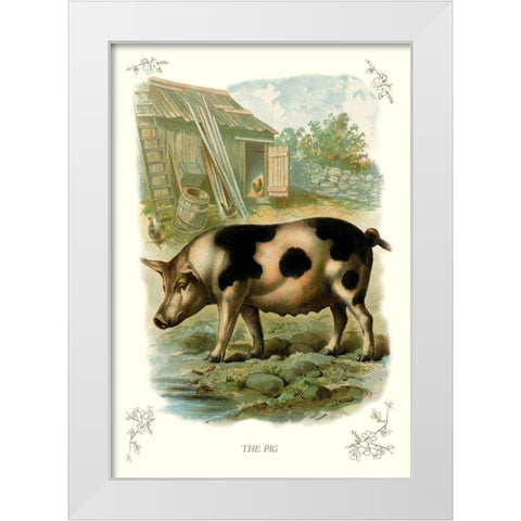 The Pig, 1900 White Modern Wood Framed Art Print by Unknown