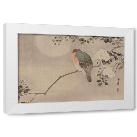 Robin sitting on a Tree Branch White Modern Wood Framed Art Print by Unknown