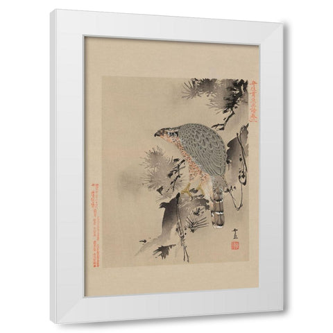 Hawk White Modern Wood Framed Art Print by Unknown