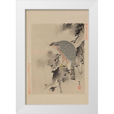 Hawk White Modern Wood Framed Art Print by Unknown