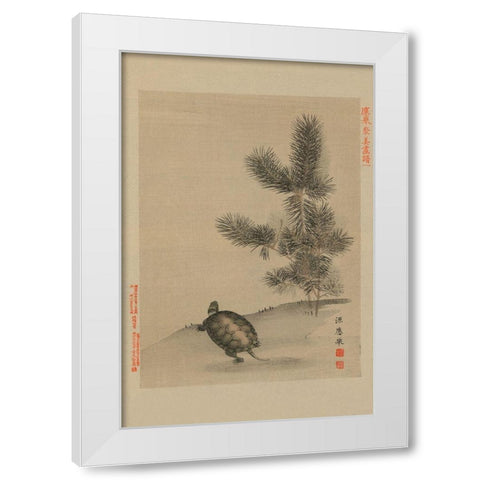 Turtle White Modern Wood Framed Art Print by Unknown
