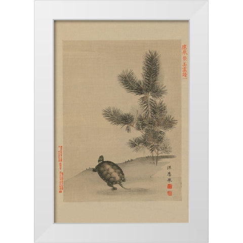 Turtle White Modern Wood Framed Art Print by Unknown