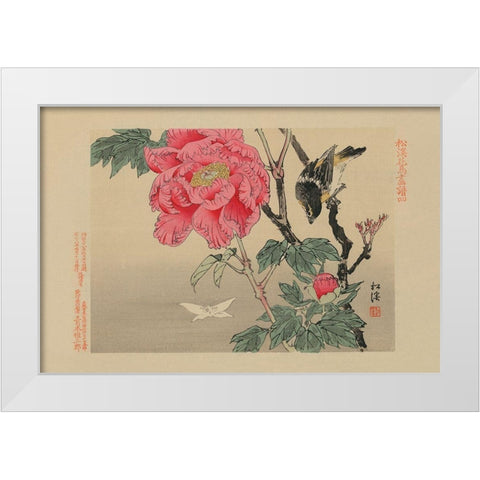 Bird watching a Butterfly White Modern Wood Framed Art Print by Unknown