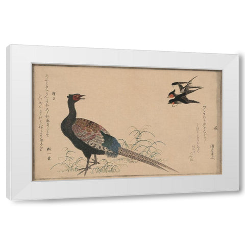 Pheasant White Modern Wood Framed Art Print by Unknown