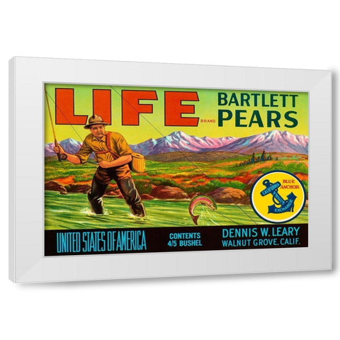 Life Brand Bartlett Pears White Modern Wood Framed Art Print by Retrolabel
