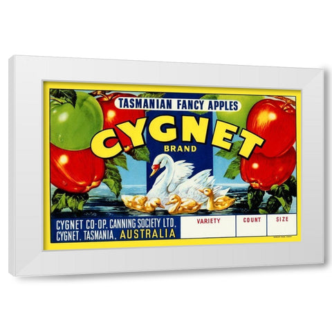 Cygnet Tasmanian Fancy Apples White Modern Wood Framed Art Print by Retrolabel