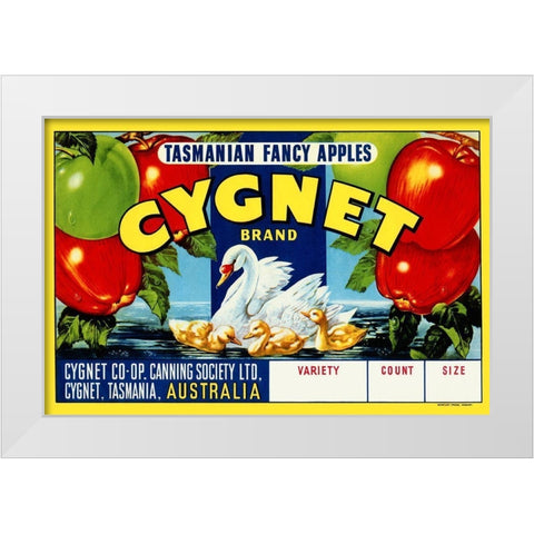 Cygnet Tasmanian Fancy Apples White Modern Wood Framed Art Print by Retrolabel