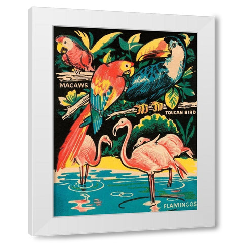 Tropical Hobbyland - Birds White Modern Wood Framed Art Print by Retrotravel