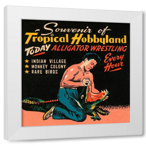 Tropical Hobbyland - Alligator Wrestling White Modern Wood Framed Art Print by Retrotravel
