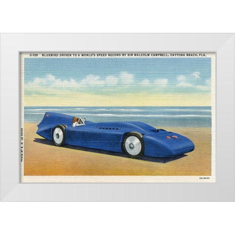 BlueBird 5 White Modern Wood Framed Art Print by Retrotravel