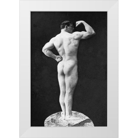 Statuesque Back and Arm Curl White Modern Wood Framed Art Print by Vintage Muscle Men