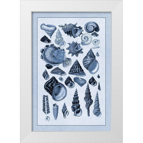 Shells: Trachelipoda #3 (Blue) White Modern Wood Framed Art Print by Sowerby, G.B.
