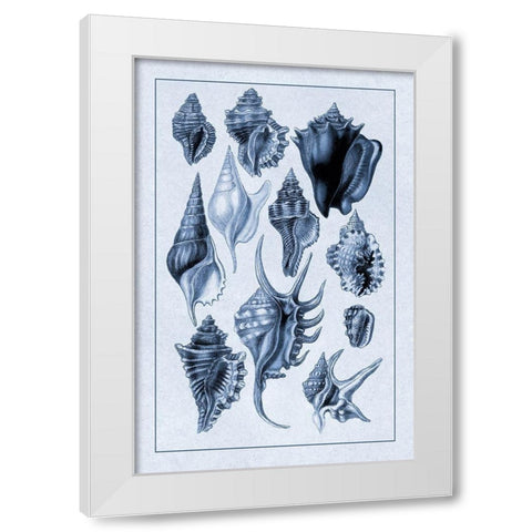 Shells: Trachelipoda #5 (Blue) White Modern Wood Framed Art Print by Sowerby, G.B.