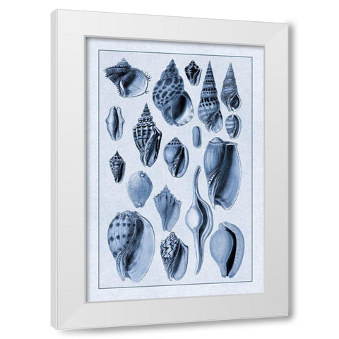 Shells: Trachelipoda #6 (Blue) White Modern Wood Framed Art Print by Sowerby, G.B.