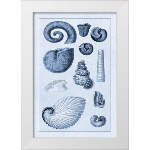 Shells: Ammonacea (Blue) White Modern Wood Framed Art Print by Sowerby, G.B.