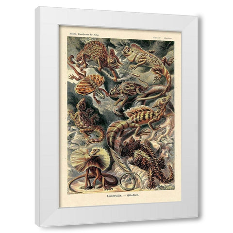 Haeckel Nature Illustrations: Lizards White Modern Wood Framed Art Print by Haeckel, Ernst