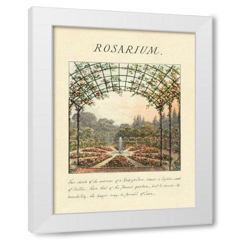 Rosarium, 1813 White Modern Wood Framed Art Print by Repton, Humphry