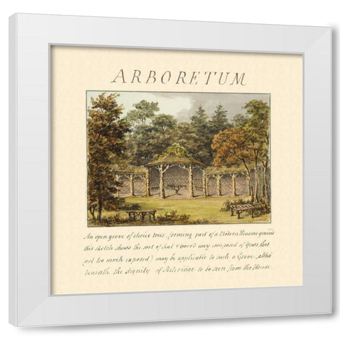 Arboretum, 1813 White Modern Wood Framed Art Print by Repton, Humphry
