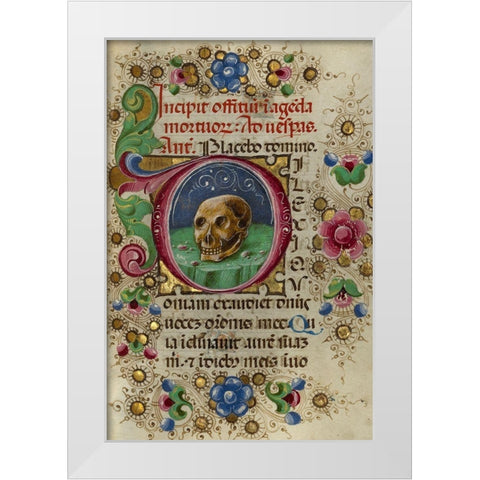 Initial D: A Skull in a Rocky Field White Modern Wood Framed Art Print by Crivetti, Taddeo