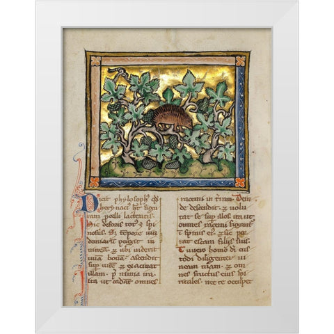 A Hedgehog White Modern Wood Framed Art Print by Franco-Flemish 13th Century