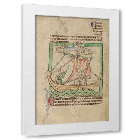 A Flying Fish White Modern Wood Framed Art Print by English 13th Century