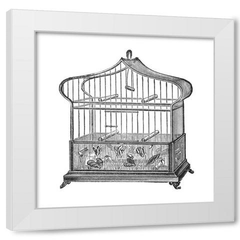Etchings: Birdcage - Onion-peak top, floral base. White Modern Wood Framed Art Print by Catalog Illustration
