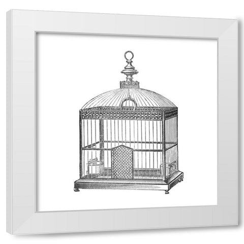 Etchings: Birdcage - Arched top, filigree detail. White Modern Wood Framed Art Print by Catalog Illustration