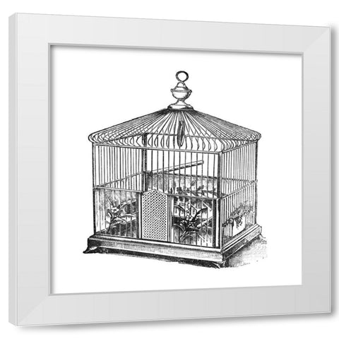 Etchings: Birdcage - Onion peak top, floral base. White Modern Wood Framed Art Print by Catalog Illustration