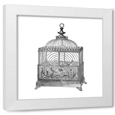 Etchings: Birdcage - Dome top, floral base, filigree detail. White Modern Wood Framed Art Print by Catalog Illustration