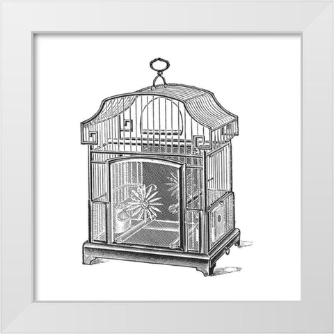 Etchings: Birdcage - Gable top, daisy base. White Modern Wood Framed Art Print by Catalog Illustration