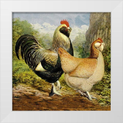 Chickens: Salmon Faverolles White Modern Wood Framed Art Print by Wright, Lewis