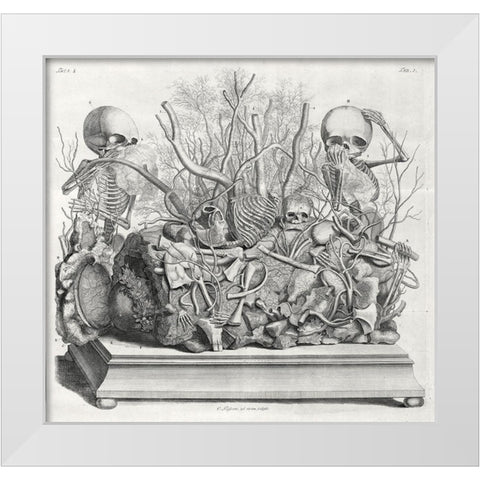 Diorama of fetal skeletons arranged with various internal organs White Modern Wood Framed Art Print by Huyberts, Cornelis