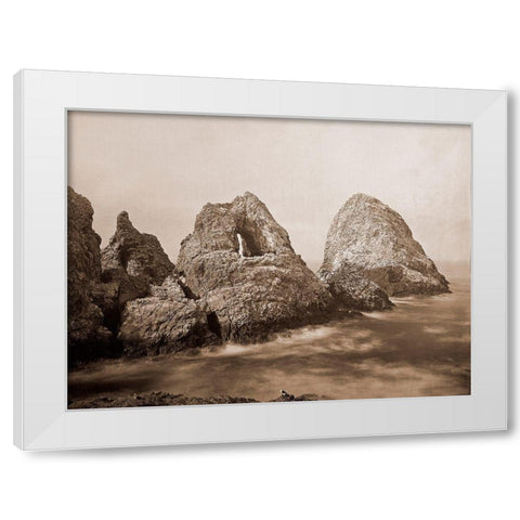 Sugarloaf Islands at Fishermans Bay, Farallon Islands, San Francisco, California, 1869 White Modern Wood Framed Art Print by Watkins, Carleton