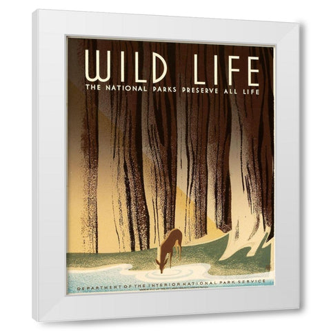 Wild Life; The National Parks Preserve All Life, ca. 1936-1940 White Modern Wood Framed Art Print by Nicholson, Frank S.