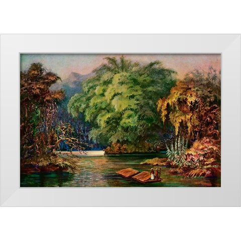 Riesenbambus von Ceylon Fahrt auf dem Schwarzen Fluss Kalu Ganga White Modern Wood Framed Art Print by Haeckel, Ernst