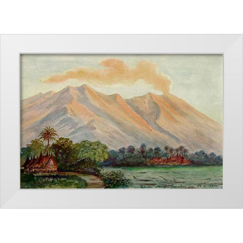 Riesen-Myrte von Ceylon Urwald von Horton-Plains White Modern Wood Framed Art Print by Haeckel, Ernst